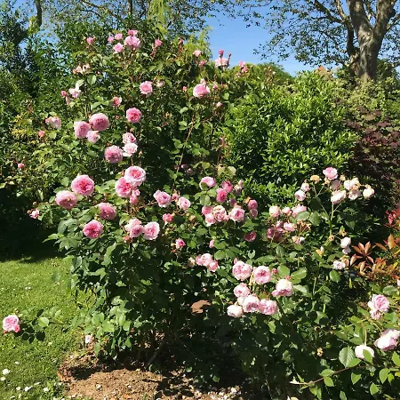 Studio Prestige Cote De Nacre En Normandie 아파트 *
